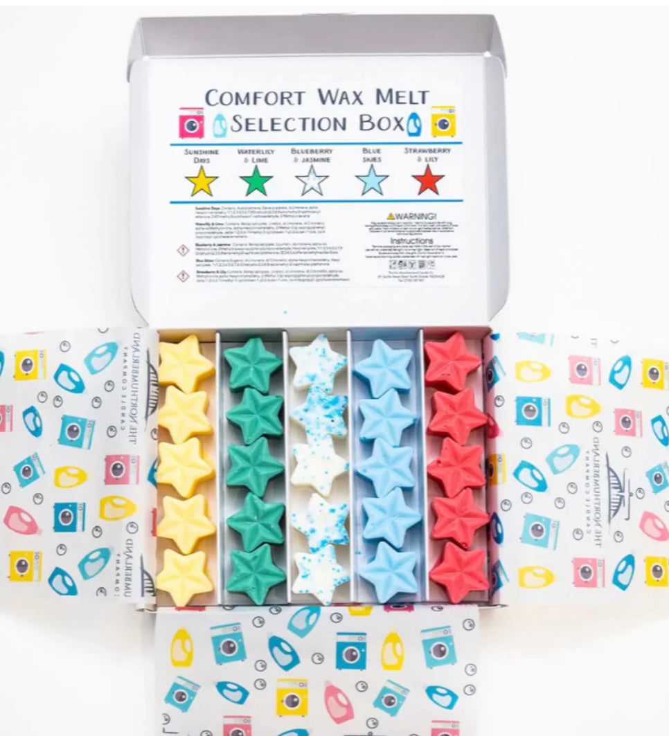 Standard Mystery Wax Melt Box - Monthly Subscription