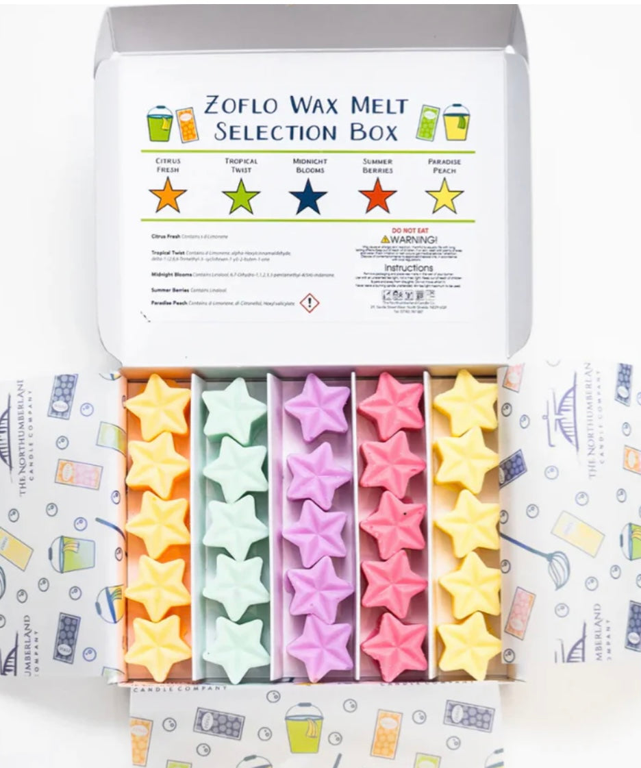 Standard Mystery Wax Melt Box  - Monthly Subscription