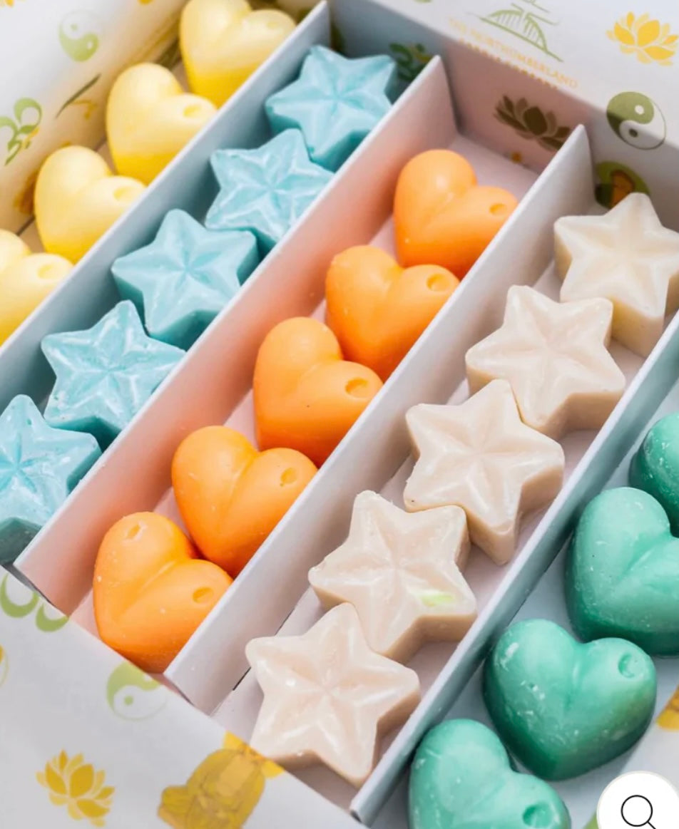 Standard Mystery Wax Melt Box - Monthly Subscription