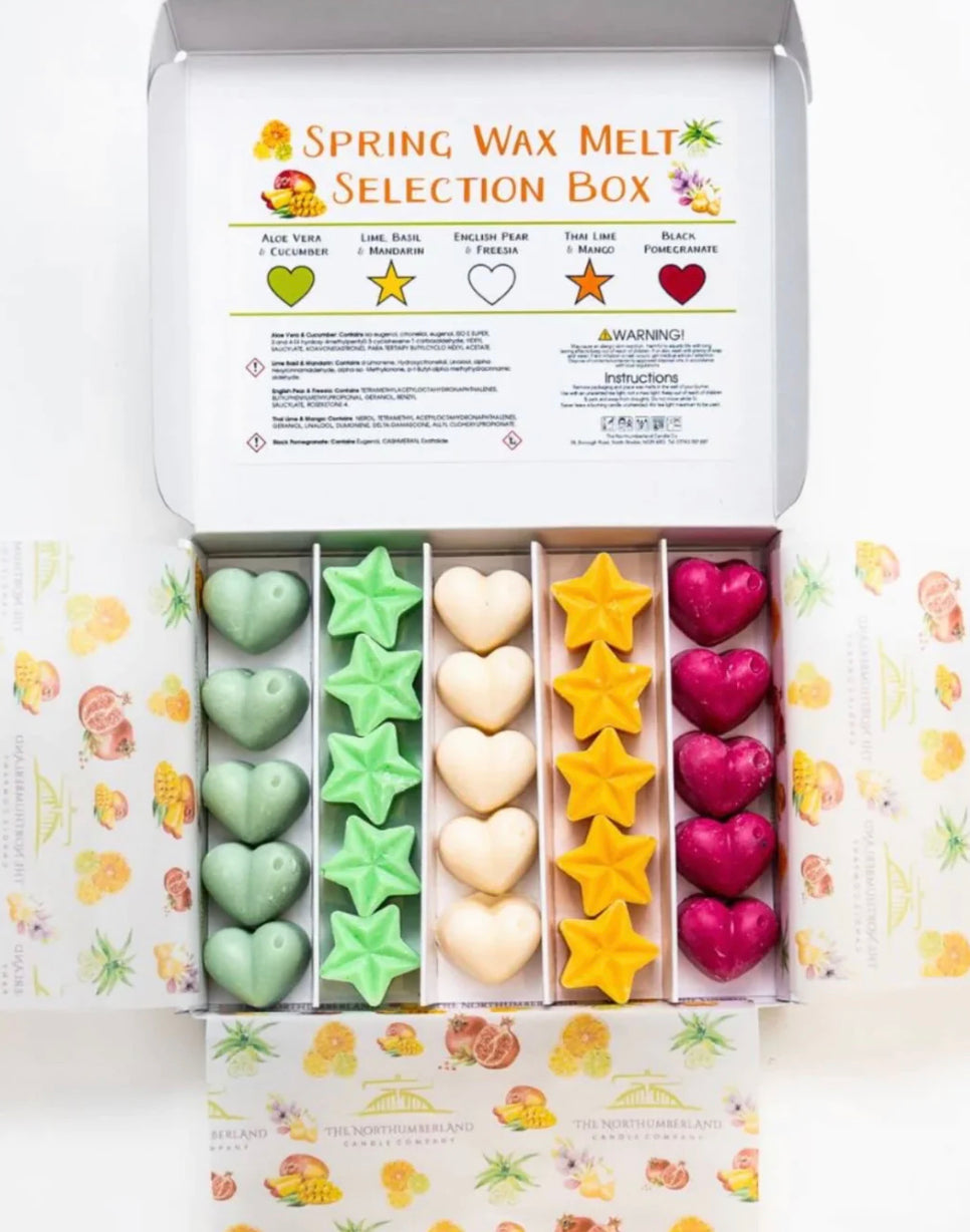 Standard Mystery Wax Melt Box - Monthly Subscription